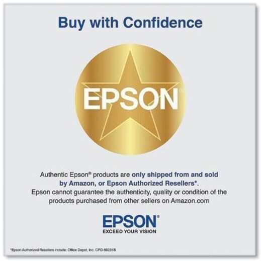 Epson UltraChrome PRO 770 Original Inkjet Ink Cartridge - Light Gray Pack Epson UltraChrome PRO 770 Original Inkjet Ink Cartridge - Light Gray Pack